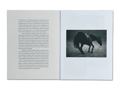Charlotte Dumas (Horses)