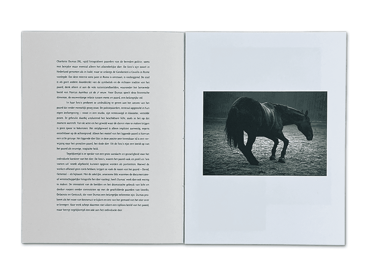 Charlotte Dumas – Day is done | catalogue (spread)