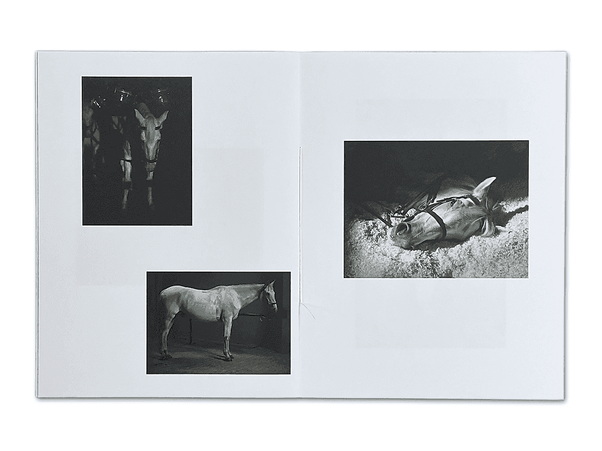 Charlotte Dumas – Day is done | catalogue (spread)