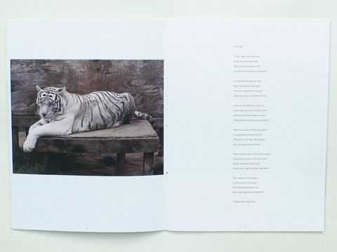 Charlotte Dumas – Tiger Tiger | catalogue (spread) | Galerie Paul Andriesse | © ambulantdesign Gabriele Götz