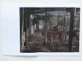 Charlotte Dumas: Tiger Tiger (spread) / © Gabriele Götz